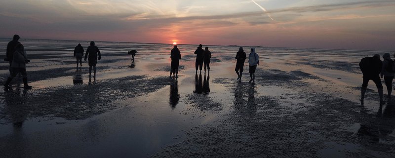 Sonnenuntergangswattgang ab 14 J. (T3)