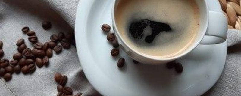 Kaffeerösterei Traumbohne