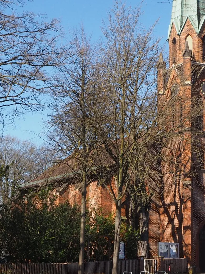 Abendmahlsgottesdienst zur Kirchweih