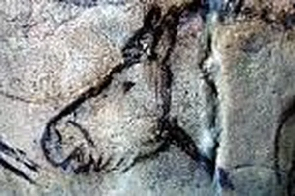 "Pferd, Mammut und Hirsch - Auf Spurensuche in der Eiszeit“