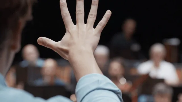 Wir, das Orchester