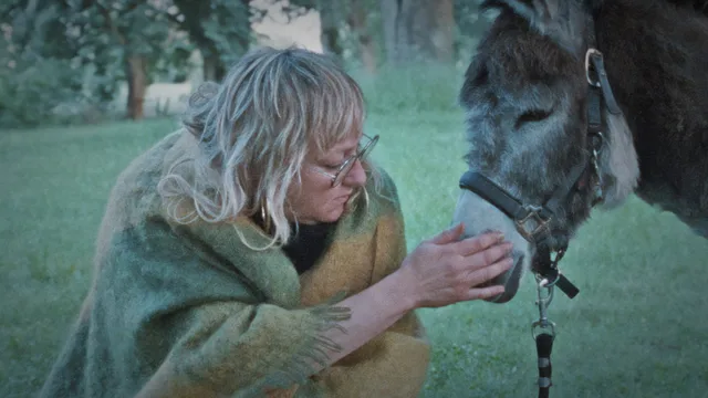 Donkey Days