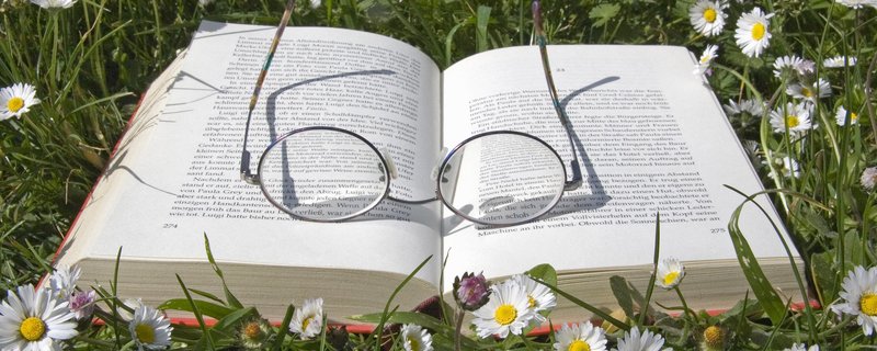 Lesen, die einzige Sucht mit positiven Begleiterscheinungen