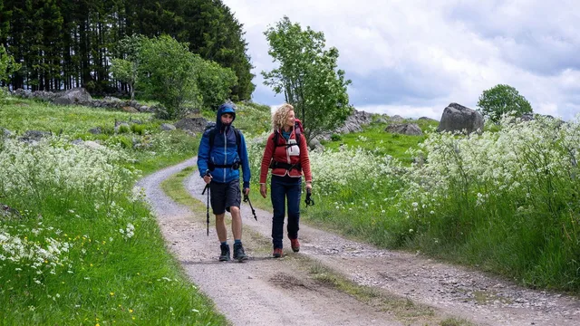 Die Camino-Therapie - Finde deinen Weg