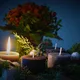 Gottesdienst zum 1. Advent mit Kirchenvorstandswahl