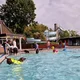 Hundeschwimmen im Badepark