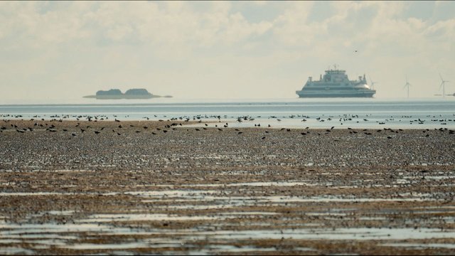 Föhr - 5 Meter über Null