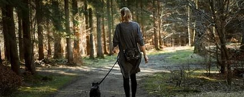 Walking am Sonntag