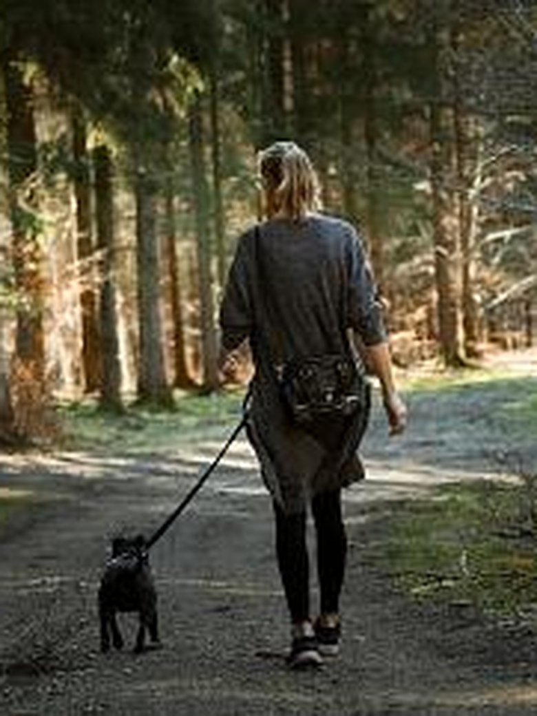 Walking am Sonntag