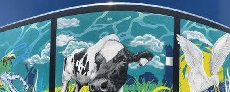 H2Oldenburg – mit dem Rad die Wasserwirtschaft…