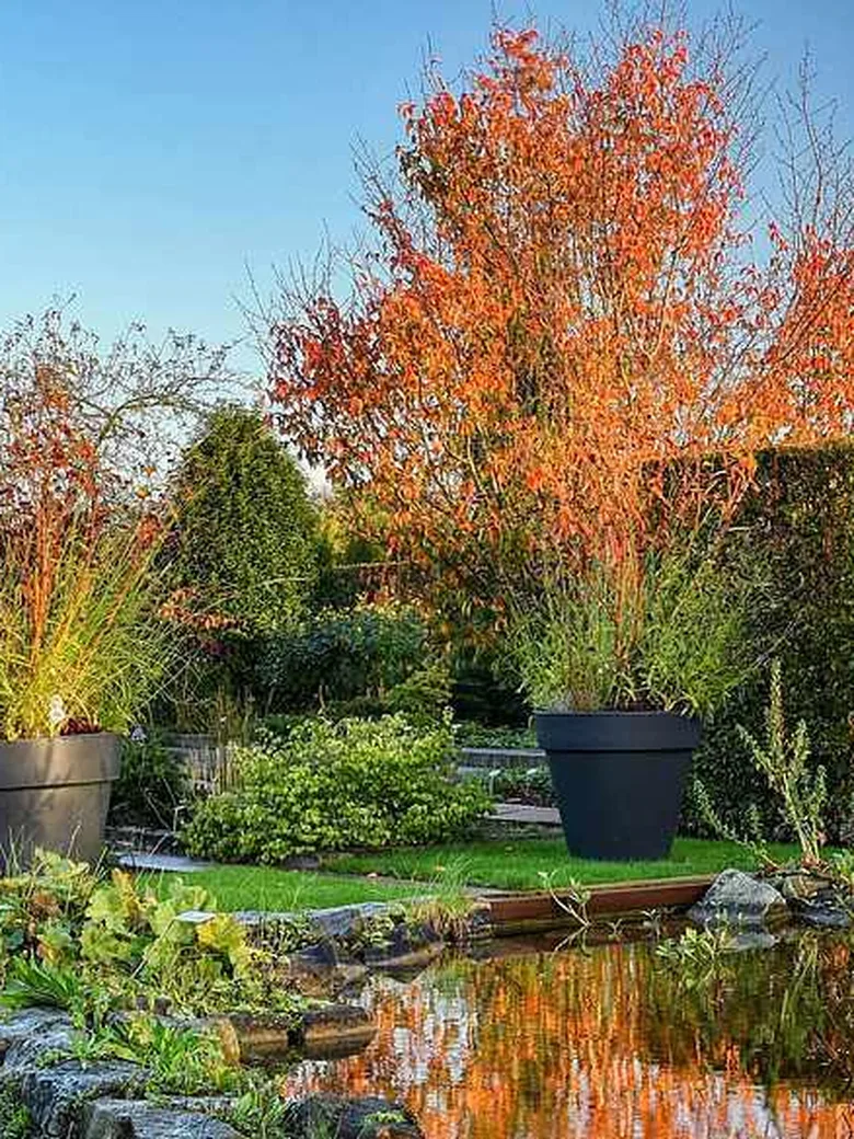 Sonderöffnung: Herbstimpressionen im Park 2026