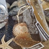 Ausstellung -Blaues Klassenzimmer-