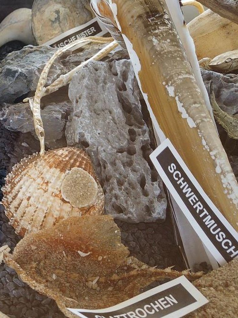 Ausstellung -Blaues Klassenzimmer-
