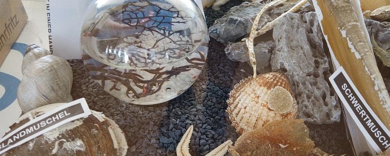 Ausstellung -Blaues Klassenzimmer-