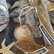 Ausstellung -Blaues Klassenzimmer-