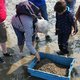 Krabbenfischen nach "alter Art"