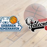 Eisbären Bremerhaven vs. Nürnberg Falcons BC