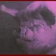Animal Farm