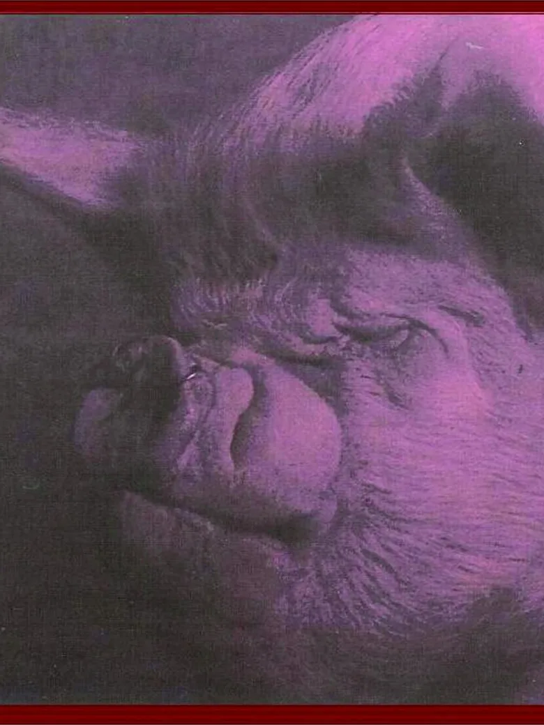 Animal Farm