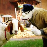 Werner Momsen – „Momsen, Tiere, Sensationen“