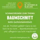 Gartenstammtisch: Baumschnit