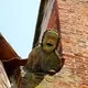 "Besondere" Stadtführung "Schrecklich-schöne Schauermärchen"
