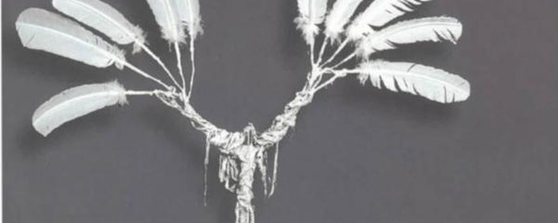 Ausstellung: Wir wurden mit Flügeln geboren - Käfige, Federn und Freiheit.