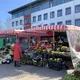 Wochenmarkt in Bad Zwischenahn