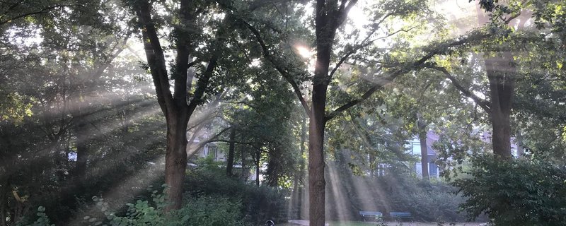 Angst verstehen – Urkraft oder Hemmschuh?