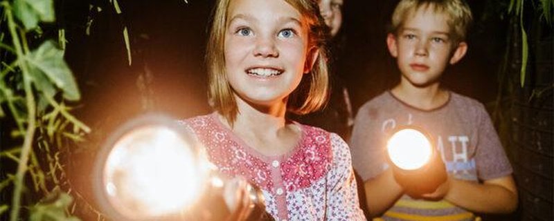 Taschenlampenführung