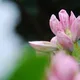 Schlossgartenführung: Ein Gang durch den…