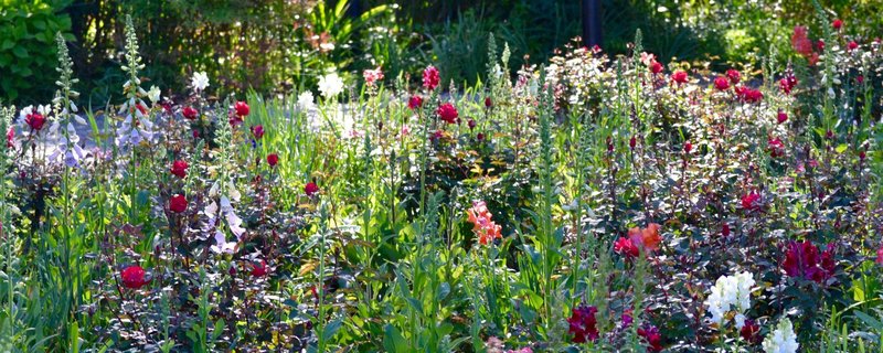 Im Garten des Lebens