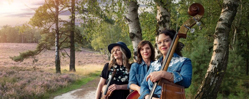 The Joni Project