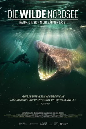 Die Wilde Nordsee - Natur, die sich nicht zähmen lässt
