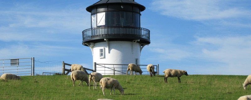 Führungen durch den Leuchtturm Dicke Berta