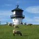 Führungen durch den Leuchtturm Dicke Berta