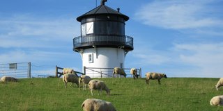 Führungen durch den Leuchtturm Dicke Berta