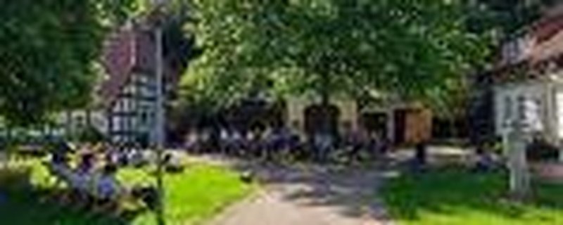 Sommer im Park
