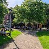 Sommer im Park