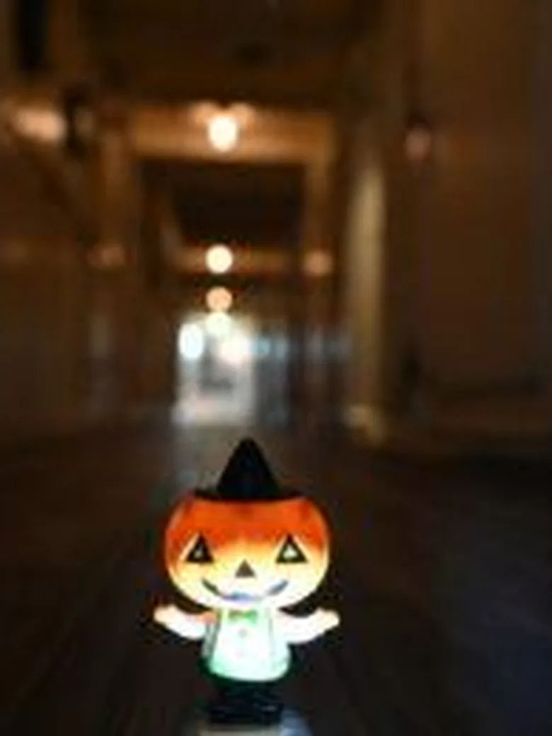 Halloween-Abenteuerführung mit Taschenlampe