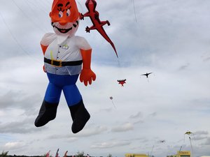 Drachen über Lemwerder 2026