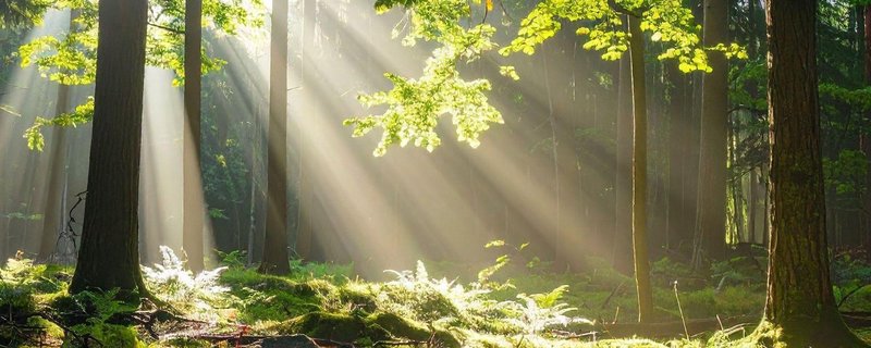 Ein Tag in der Wilden Kirche