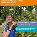 Gemeinsame Obsternte auf dem Gelände der Diakonie