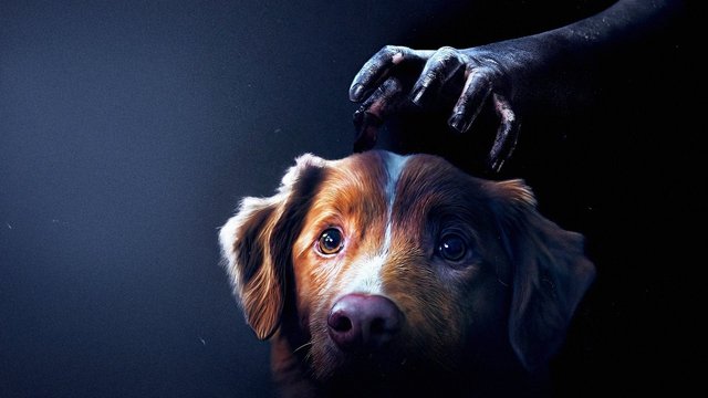 Good Boy - Trust His Instincts