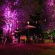 Sommerfest des Kulturvereins Kneipe Westen
