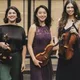 MEISTERKONZERT: Doric String Quartet