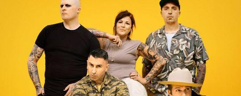 Broilers