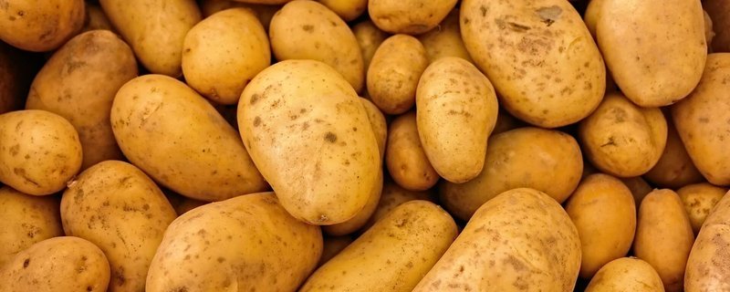 Kartoffeltag im Bauernhaus