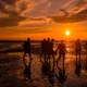 Sonnenuntergangswattgang ab 14 J. (T1)