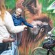 Street Art Tour per Rad